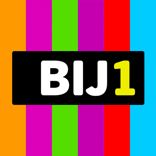 kopie_van_bi1fbprofielfoto01astripes1